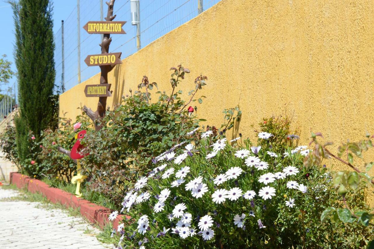Acqui Villa Argostoli  Bagian luar foto